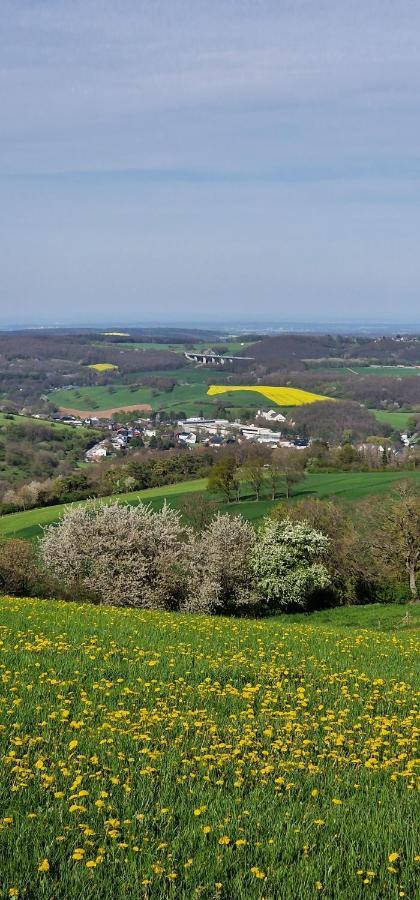 Gemuetliche Auszeit In Der Eifel Apartment Мехерних Екстериор снимка