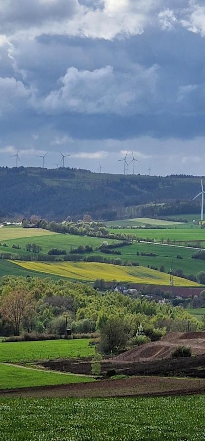 Gemuetliche Auszeit In Der Eifel Apartment Мехерних Екстериор снимка